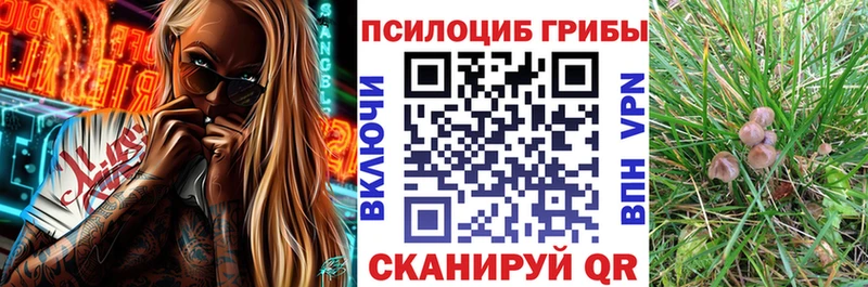 Купить где  Няндома  Псилоцибиновые грибы ЛСД 